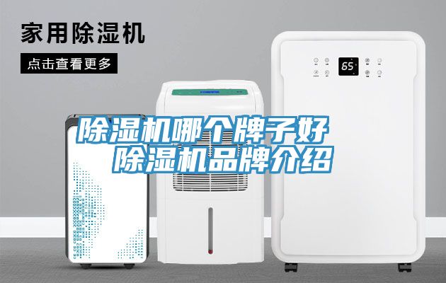 MR.好色破解版哪个牌子好  MR.好色破解版品牌介绍