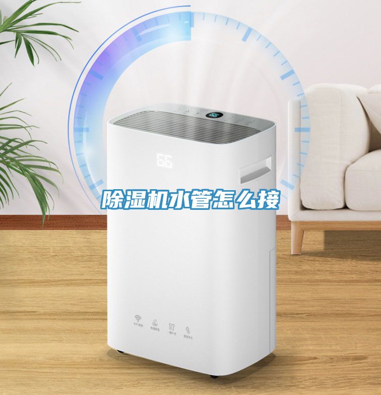 MR.好色破解版水管怎么接