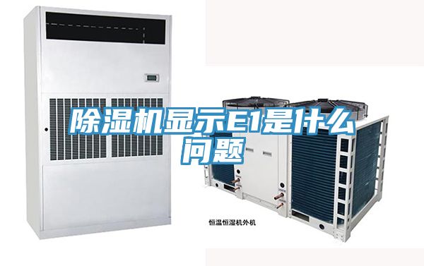 MR.好色破解版显示E1是什么问题