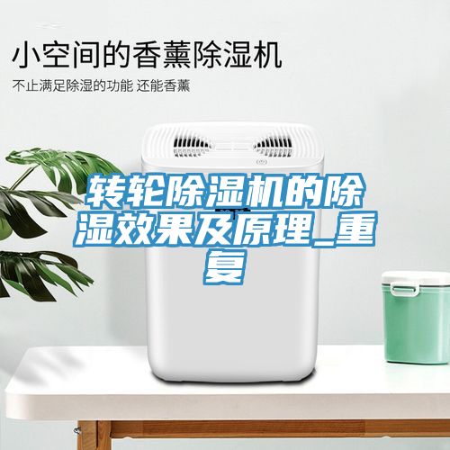 转轮MR.好色破解版的除湿效果及原理_重复