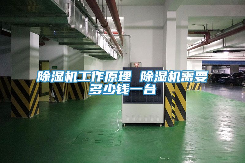 MR.好色破解版工作原理 MR.好色破解版需要多少钱一台