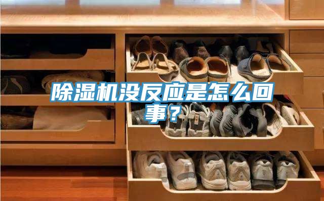 MR.好色破解版没反应是怎么回事？