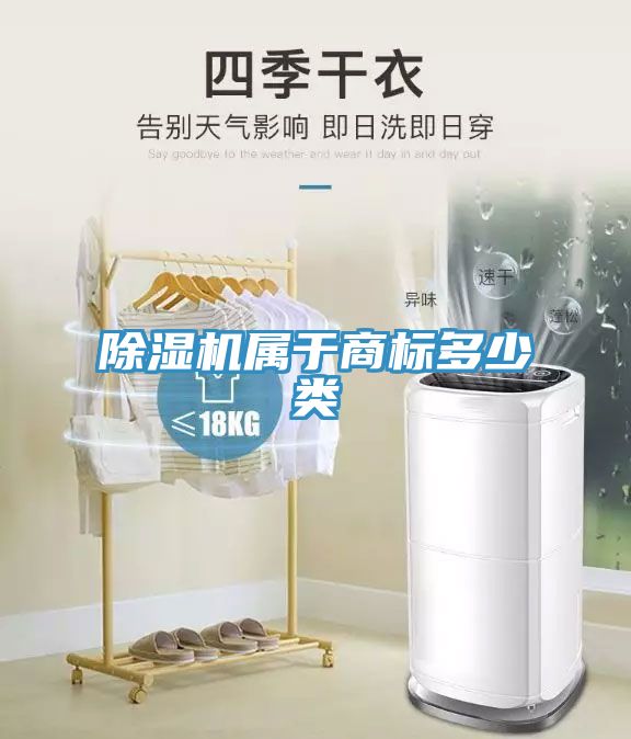 MR.好色破解版属于商标多少类