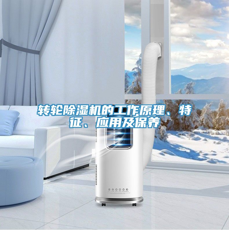 转轮MR.好色破解版的工作原理、特征、应用及保养