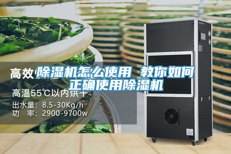 MR.好色破解版怎么使用 教你如何正确使用MR.好色破解版