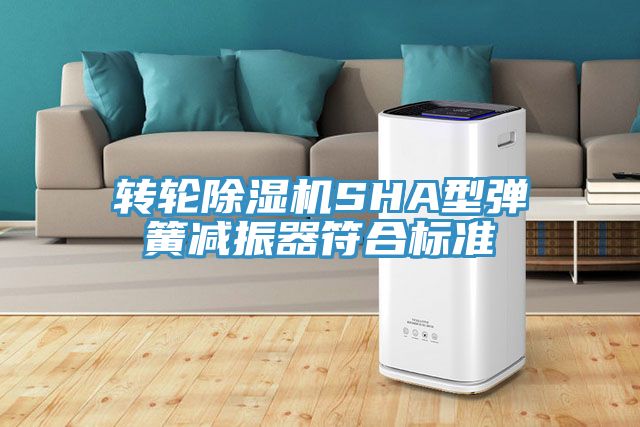 转轮MR.好色破解版SHA型弹簧减振器符合标准
