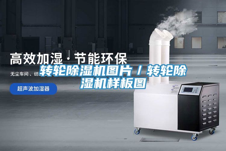 转轮MR.好色破解版图片／转轮MR.好色破解版样板图