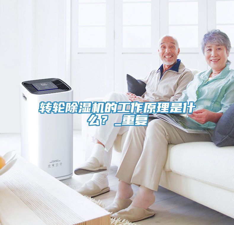 转轮MR.好色破解版的工作原理是什么？_重复
