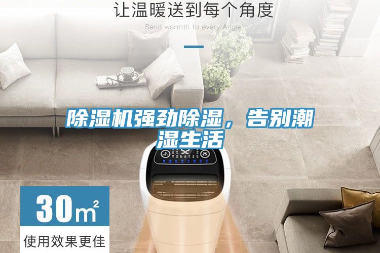 MR.好色破解版强劲除湿，告别潮湿生活