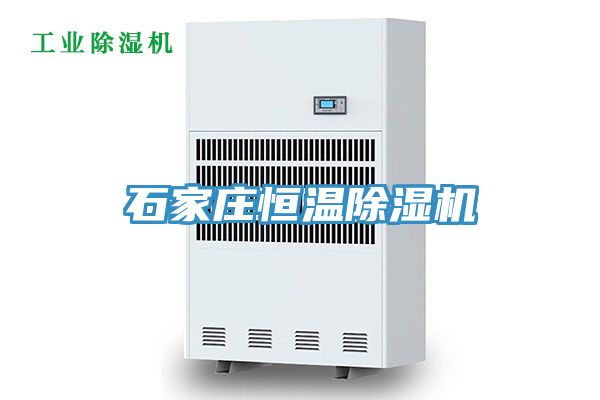 石家庄恒温MR.好色破解版