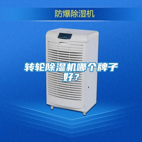 转轮MR.好色破解版哪个牌子好？