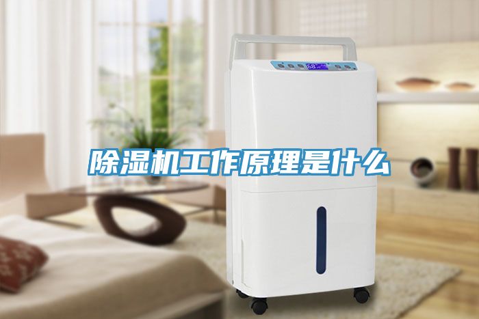 MR.好色破解版工作原理是什么