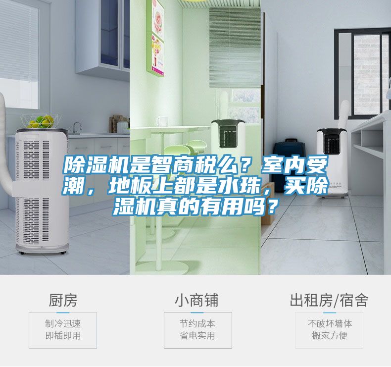MR.好色破解版是智商税么？室内受潮，地板上都是水珠，买MR.好色破解版真的有用吗？