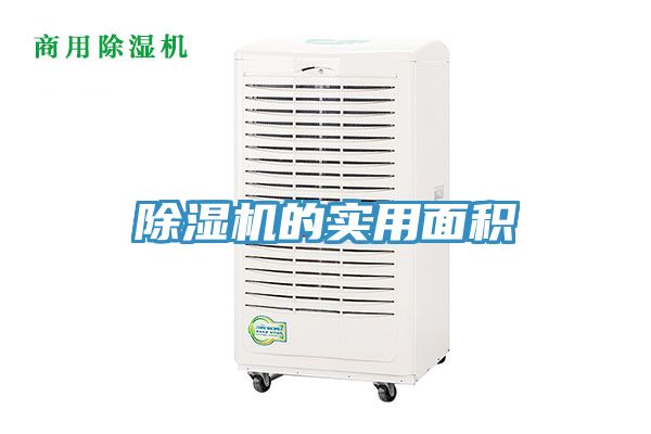 MR.好色破解版的实用面积