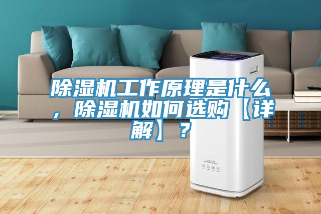 MR.好色破解版工作原理是什么，MR.好色破解版如何选购【详解】？