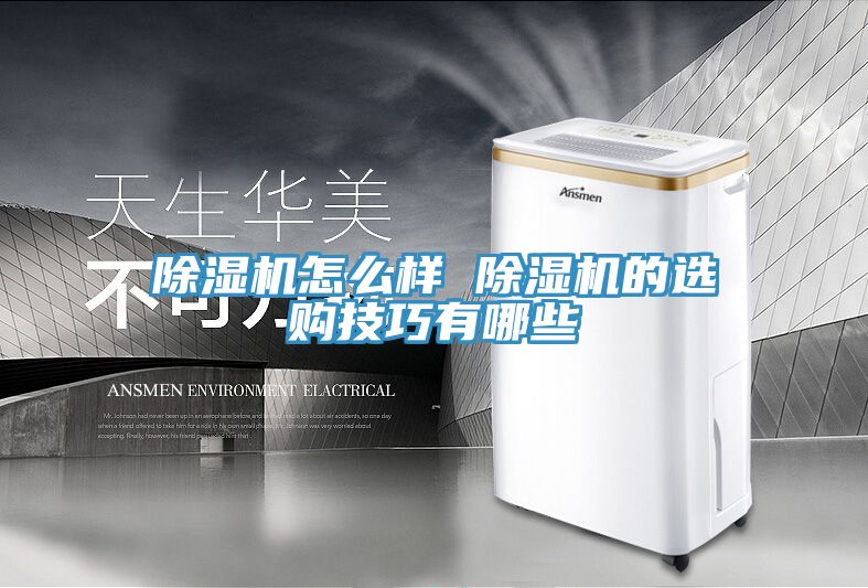 MR.好色破解版怎么样 MR.好色破解版的选购技巧有哪些