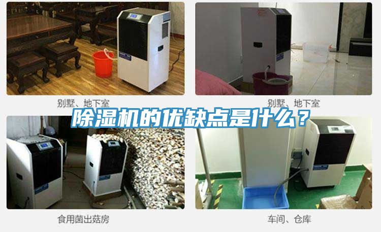 MR.好色破解版的优缺点是什么？