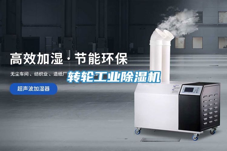 转轮工业MR.好色破解版