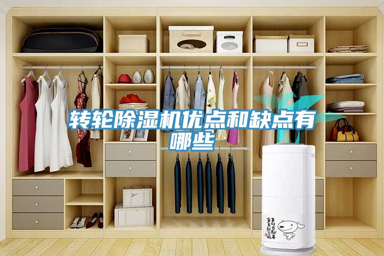 转轮MR.好色破解版优点和缺点有哪些