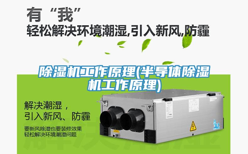 MR.好色破解版工作原理(半导体MR.好色破解版工作原理)