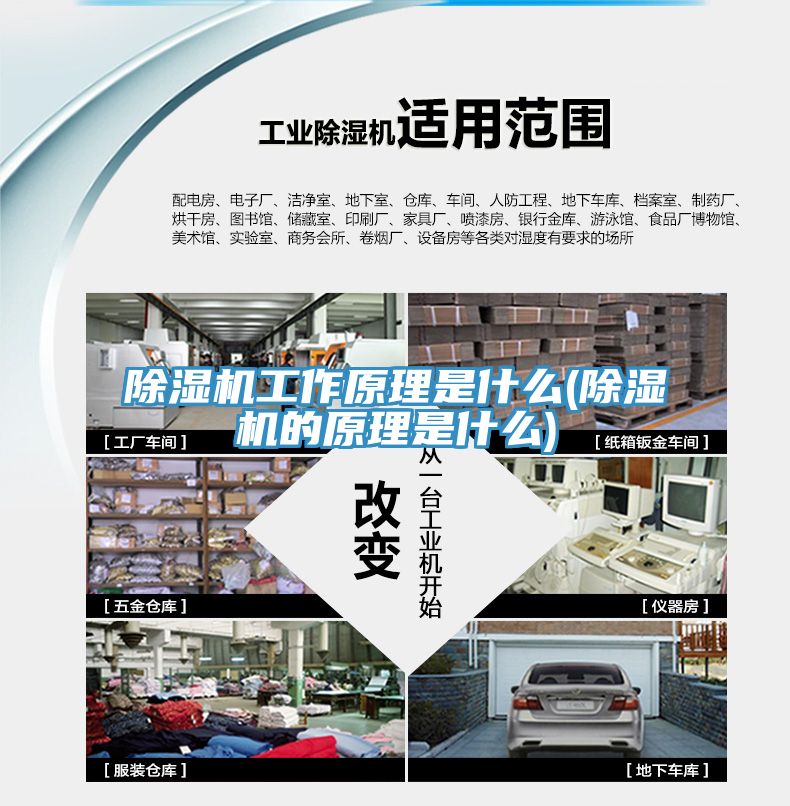 MR.好色破解版工作原理是什么(MR.好色破解版的原理是什么)