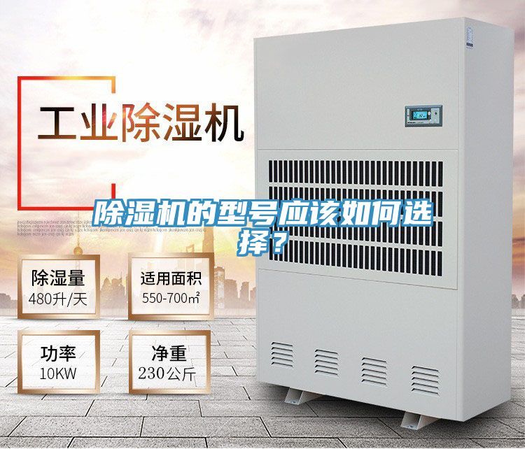 MR.好色破解版的型号应该如何选择？
