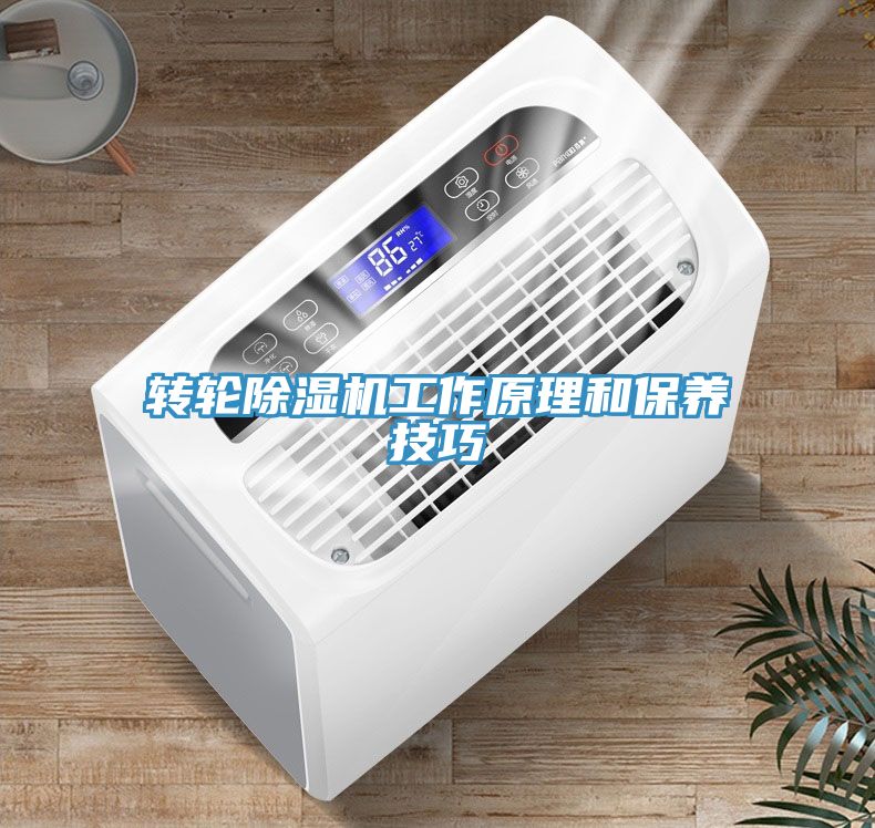 转轮MR.好色破解版工作原理和保养技巧