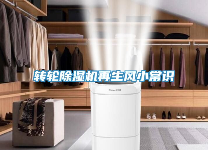转轮MR.好色破解版再生风小常识