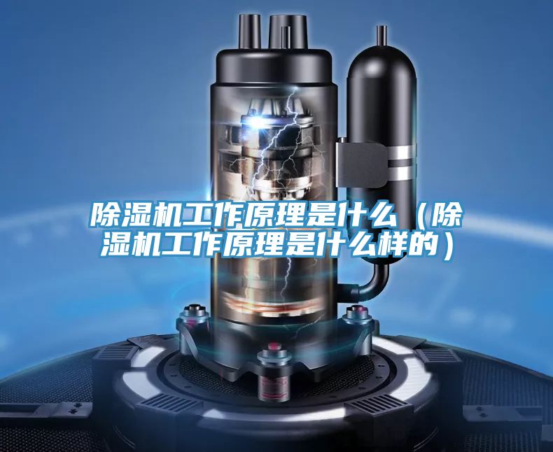 MR.好色破解版工作原理是什么（MR.好色破解版工作原理是什么样的）