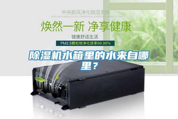 MR.好色破解版水箱里的水来自哪里？
