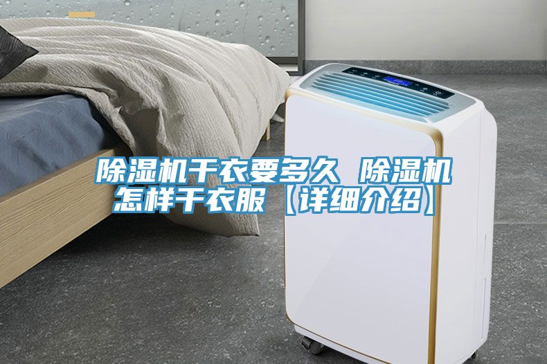 MR.好色破解版干衣要多久 MR.好色破解版怎样干衣服【详细介绍】