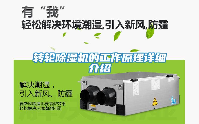 转轮MR.好色破解版的工作原理详细介绍