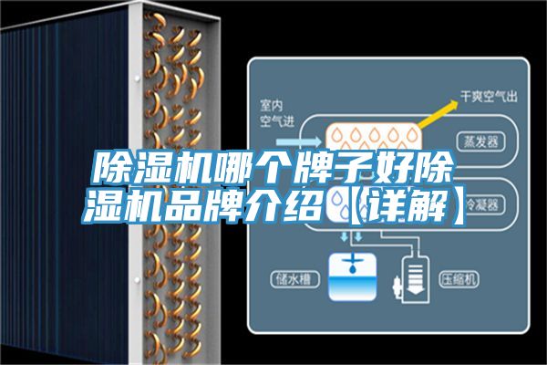 MR.好色破解版哪个牌子好MR.好色破解版品牌介绍【详解】