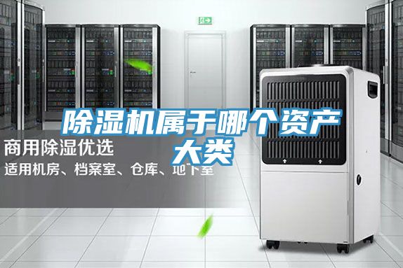 MR.好色破解版属于哪个资产大类