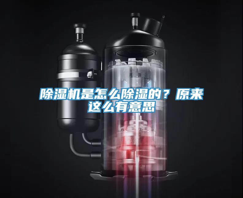 MR.好色破解版是怎么除湿的？原来这么有意思