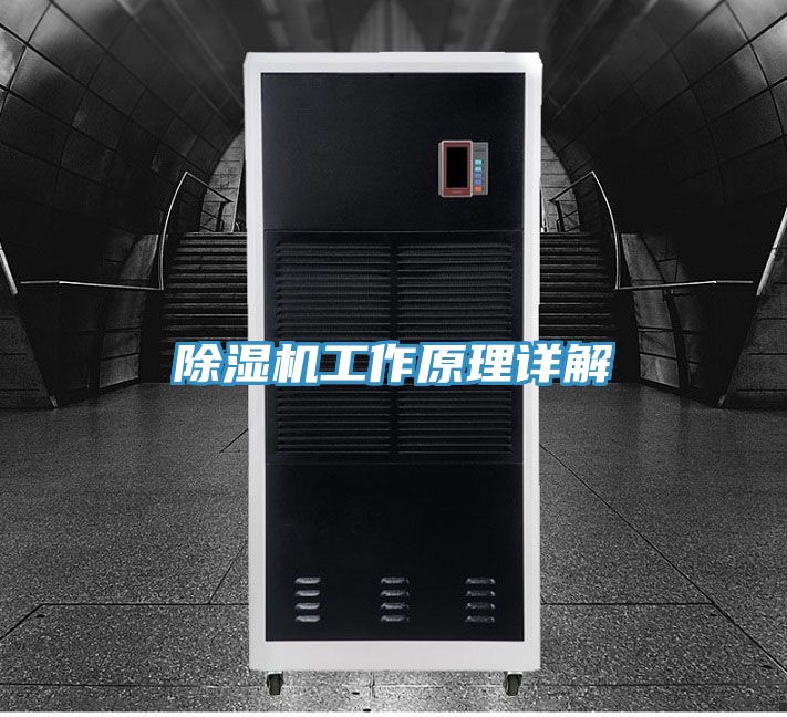 MR.好色破解版工作原理详解
