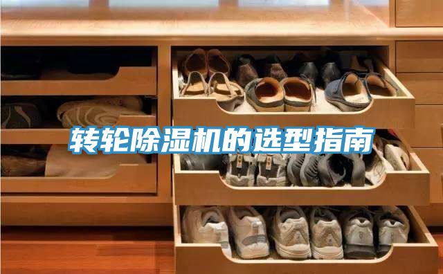 转轮MR.好色破解版的选型指南