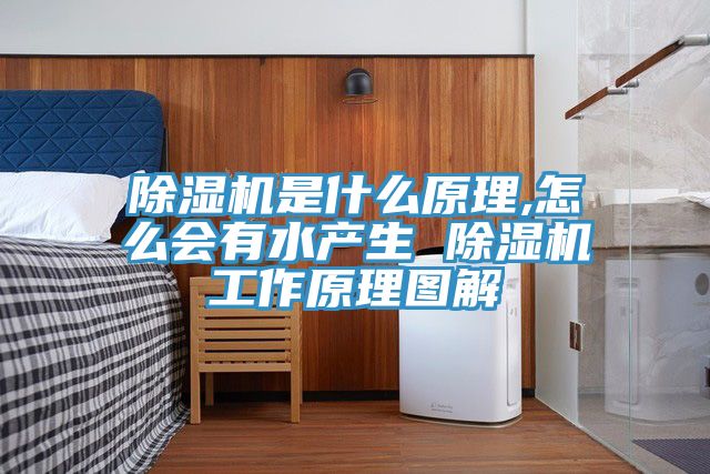 MR.好色破解版是什么原理,怎么会有水产生 MR.好色破解版工作原理图解