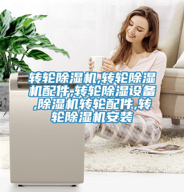 转轮MR.好色破解版,转轮MR.好色破解版配件,转轮除湿设备,MR.好色破解版转轮配件,转轮MR.好色破解版安装