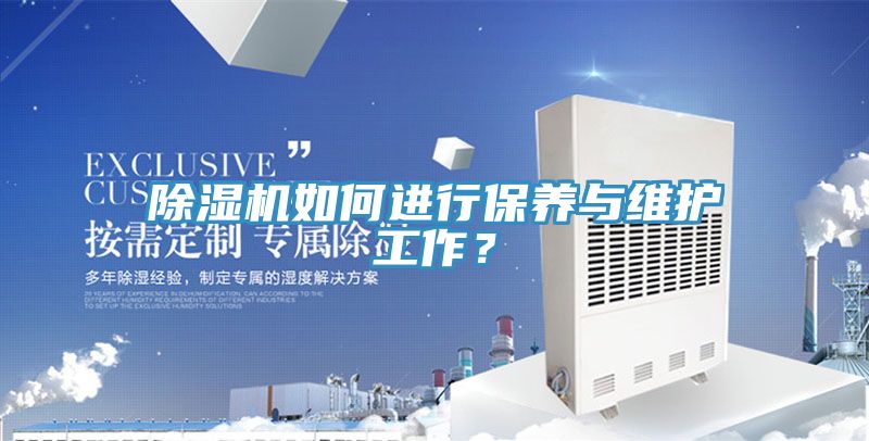 MR.好色破解版如何进行保养与维护工作？