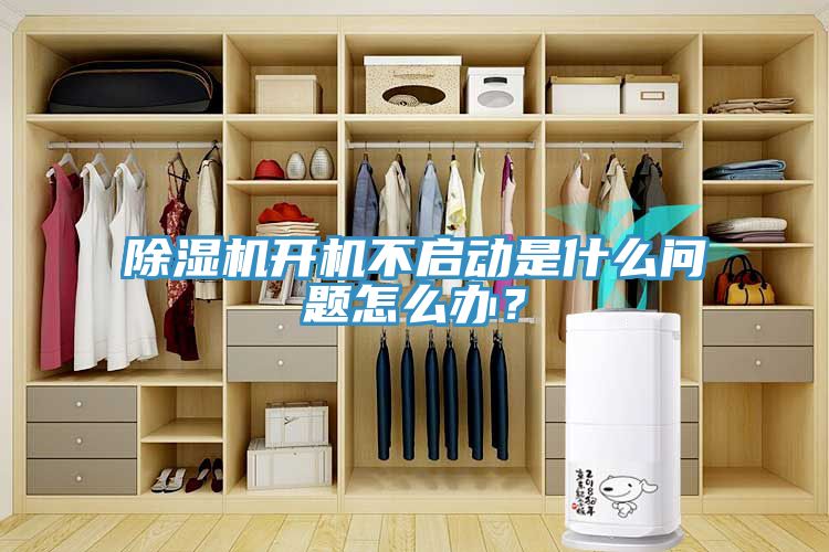 MR.好色破解版开机不启动是什么问题怎么办？