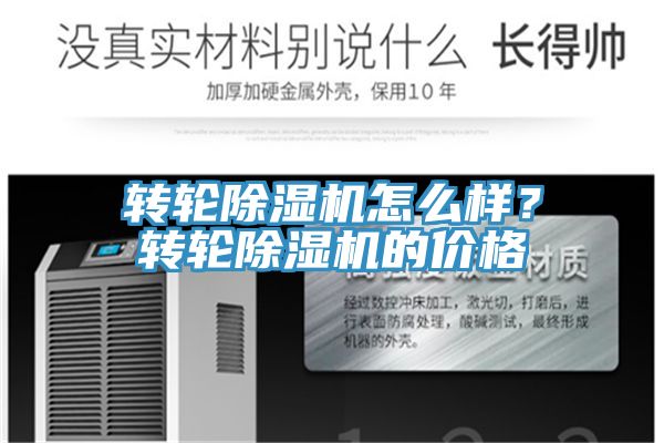 转轮MR.好色破解版怎么样？转轮MR.好色破解版的价格