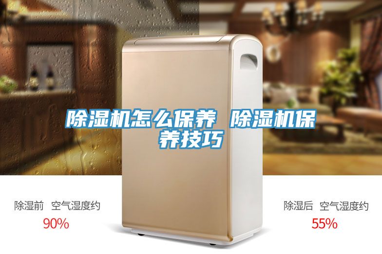 MR.好色破解版怎么保养 MR.好色破解版保养技巧
