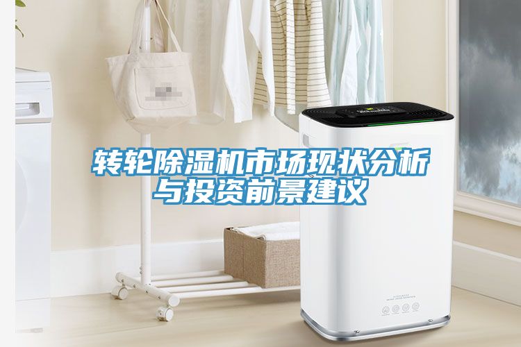 转轮MR.好色破解版市场现状分析与投资前景建议