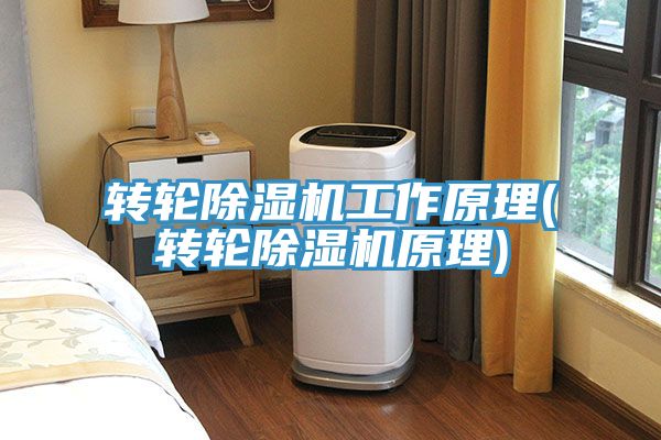 转轮MR.好色破解版工作原理(转轮MR.好色破解版原理)
