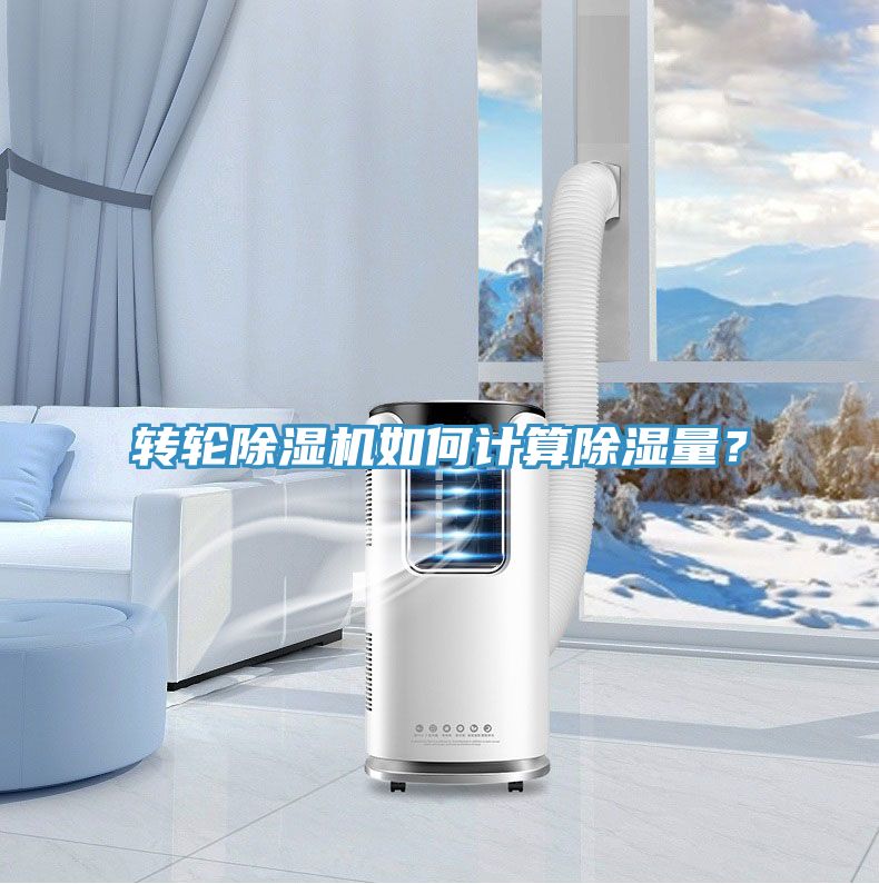 转轮MR.好色破解版如何计算除湿量？