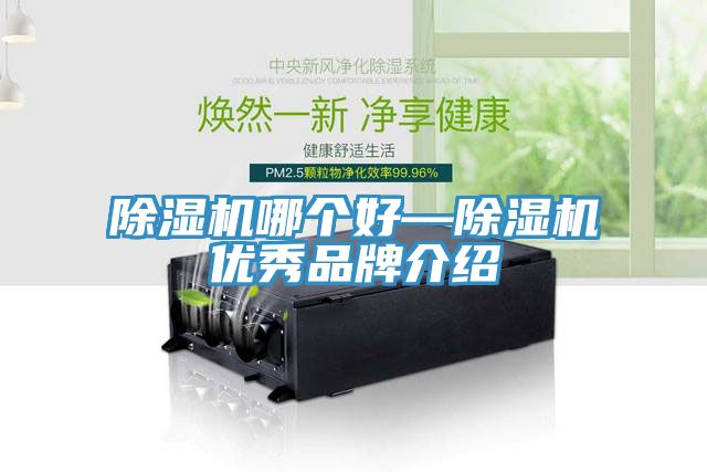MR.好色破解版哪个好—MR.好色破解版优秀品牌介绍