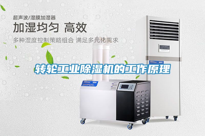 转轮工业MR.好色破解版的工作原理