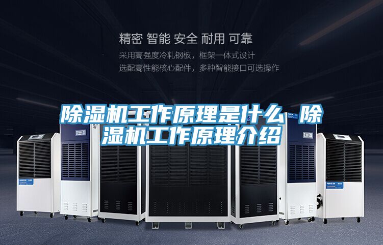MR.好色破解版工作原理是什么 MR.好色破解版工作原理介绍