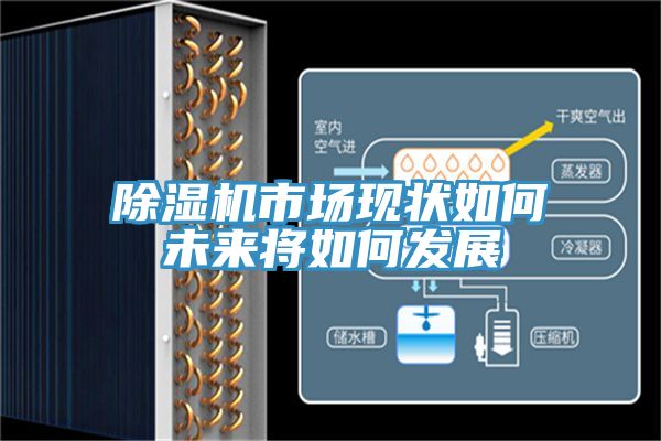 MR.好色破解版市场现状如何未来将如何发展